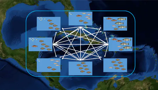 Spatiotemporal dynamics of marine metacommunities