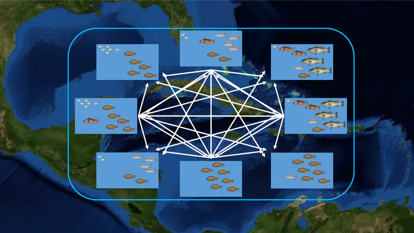 Spatiotemporal dynamics of marine metacommunities